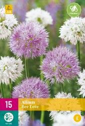 Allium bee love 15st