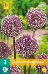 Allium summer drummer 3st