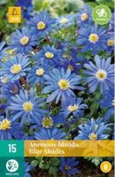 Anemone blanda blue shades 15st - afbeelding 2