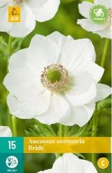 Anemone cor. bride 15st