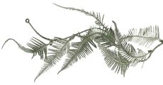 blad guirlande, 180 cm, groen, per stuk - afbeelding 5