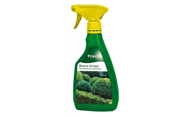 Buxusmeststof groen, Pokon, 0.5 liter - afbeelding 1