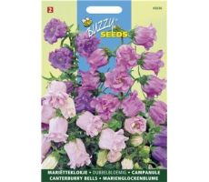 Buzzy® Campanula, Mariëtteklokje dubbelbloemig - afbeelding 1