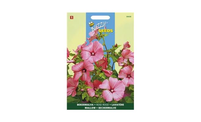 Buzzy® Lavatera, Bekermalva Roze/Rood - afbeelding 1