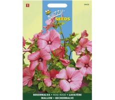 Buzzy® Lavatera, Bekermalva Roze/Rood - afbeelding 1