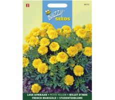 Buzzy® Tagetes, lage Afrikaan Petite Yellow - afbeelding 1