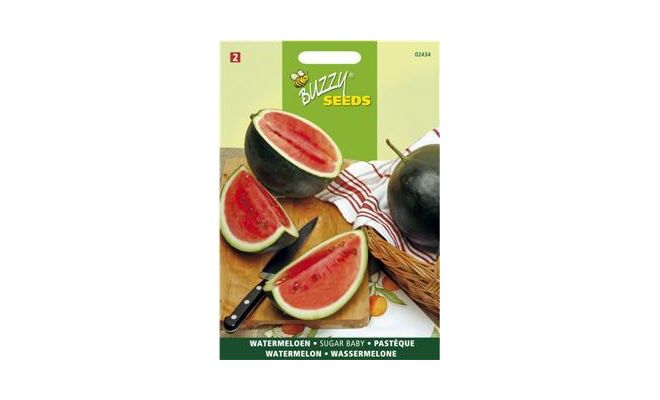 Buzzy® Watermeloen Sugar Baby - afbeelding 1