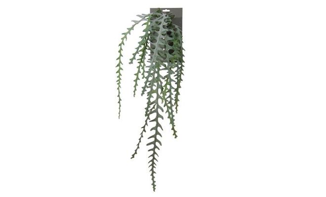 Cactus epiphyllum, l 90 cm, kunstplant