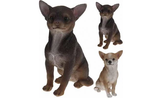 Chihuahua, polystone, meerdere variaties