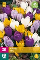 Crocus grootbloemig mix 30st - afbeelding 2