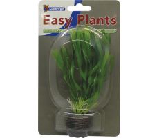 Easy plants small13cm nr. 6 - afbeelding 1
