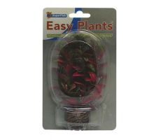 Easy plants small13cm nr. 7