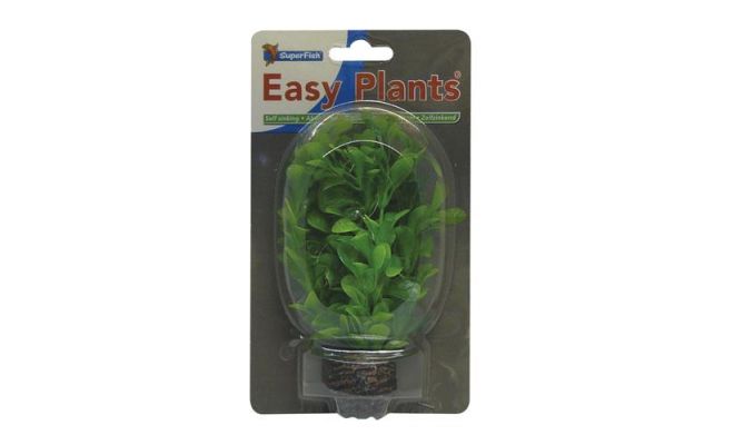 Easy plants small13cm nr. 8