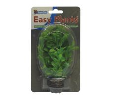 Easy plants small13cm nr. 8