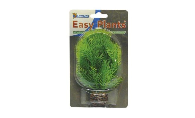 Easy plants small13cm nr. 9