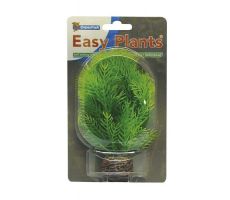 Easy plants small13cm nr. 9