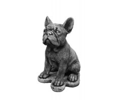 Franse bulldog, beton, l 25 cm, b 20 cm, h 30 cm - afbeelding 1