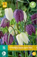 Fritillaria meleagris mix 15st - afbeelding 2