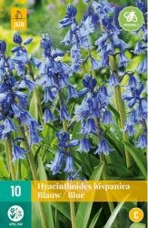 Hyacinthoides hispanica blauw 10st