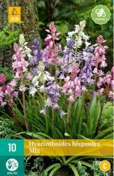 Hyacinthoides hispanica mix 10st