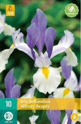 Iris hollandica silvery beauty 10st