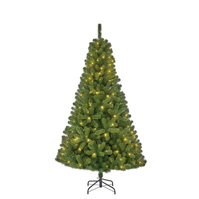 Kunstkerstboom, black box Charlton  led groen 360Led TIPS 805 - H215 x D127cm