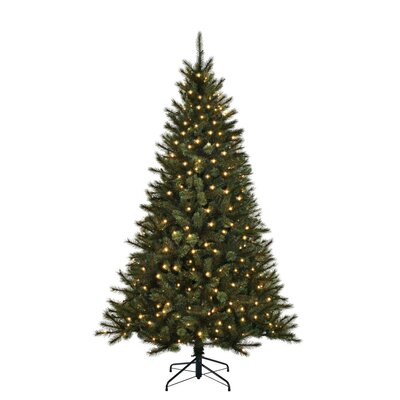 Kunstkerstboom, black box Toronto  led groen 300Led TIPS 1235 - H230 x D140cm