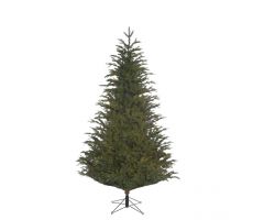 Frasier kerstboom groen, 2688 tips - H215xD145cm - afbeelding 1