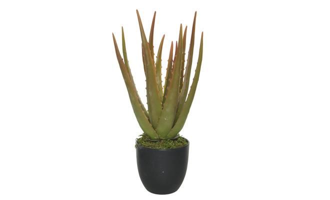 Kunstplant, aloe vera in pot - afbeelding 1