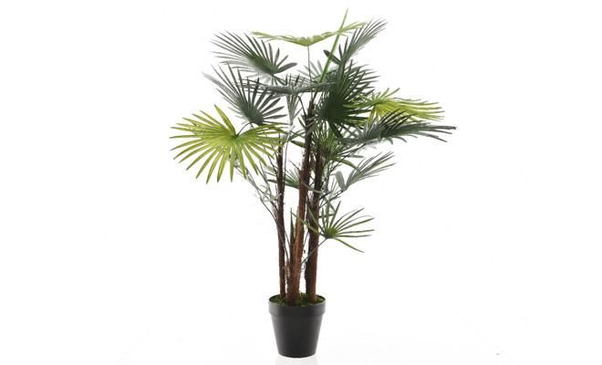 Kunstplant, fortunei palm in pot - afbeelding 1