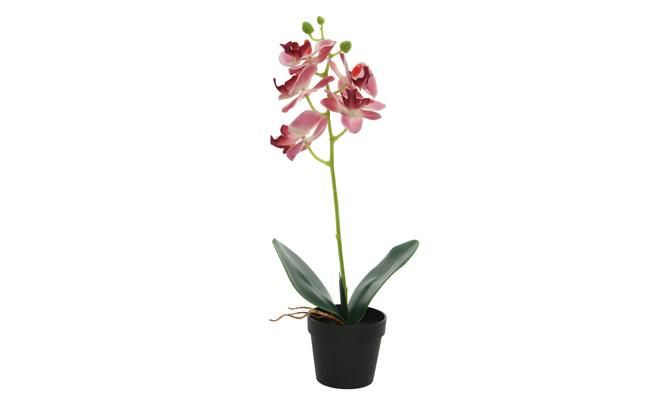 Kunstplant, orchidee in pot - afbeelding 1