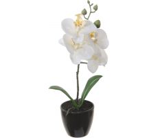 Kunstplant, orchidee in pot, wit, h 34 cm
