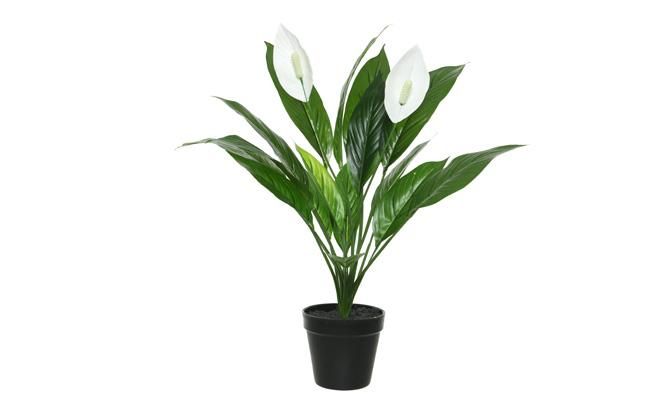 Kunstplant, spathiphyllum in pot - afbeelding 1