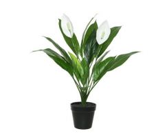 Kunstplant, spathiphyllum in pot - afbeelding 1