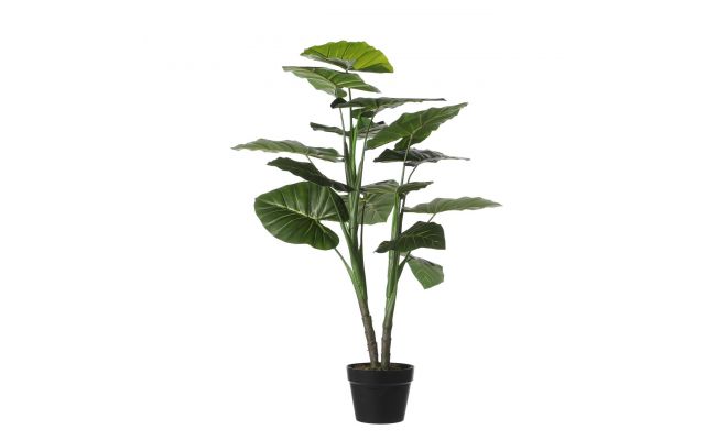 Kunstplant, taro in pot, b 70 cm, h 100 cm