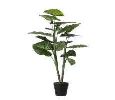 Kunstplant, taro in pot, b 70 cm, h 100 cm
