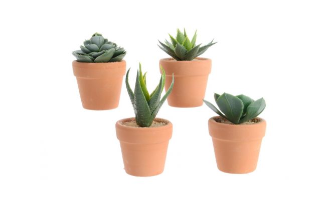 Kunstplant, vetplant in pot, meerdere variaties