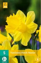 Narcissus dutch master 5st