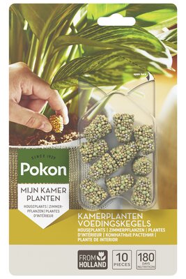 Pokon Kamerplanten Voedingskegels 10 stuks