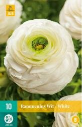 Ranunculus wit 10st