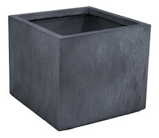 Texas Cubi Graphite W34H30