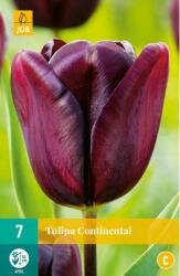 Tulipa continental 7st