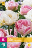 Tulipa double sensation 15st - afbeelding 2