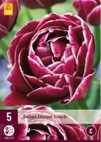 Tulipa dream touch 5st - afbeelding 2