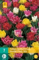 Tulipa dubbel vroeg mix 7st - afbeelding 2