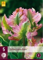 Tulipa green wave 5st - afbeelding 2