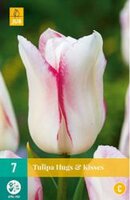 Tulipa hugs & kisses 7st - afbeelding 2