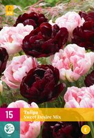 Tulipa sweet desire mix 15 stuks