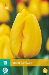 Tulipa novi sun 10st