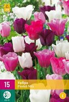 Tulipa pastel mix 15st